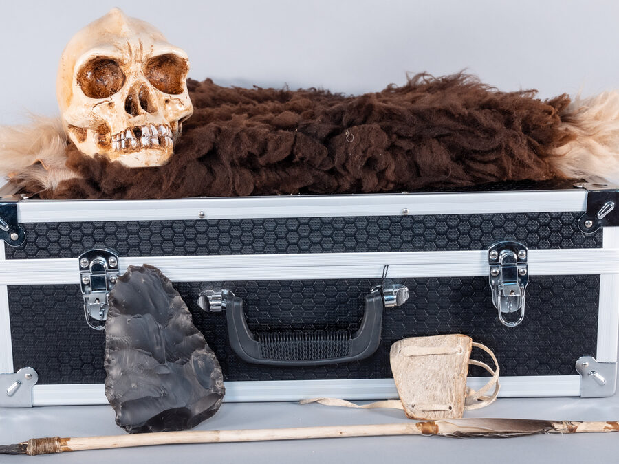 Loan box: Stone Age Murder Mystery (KS2)