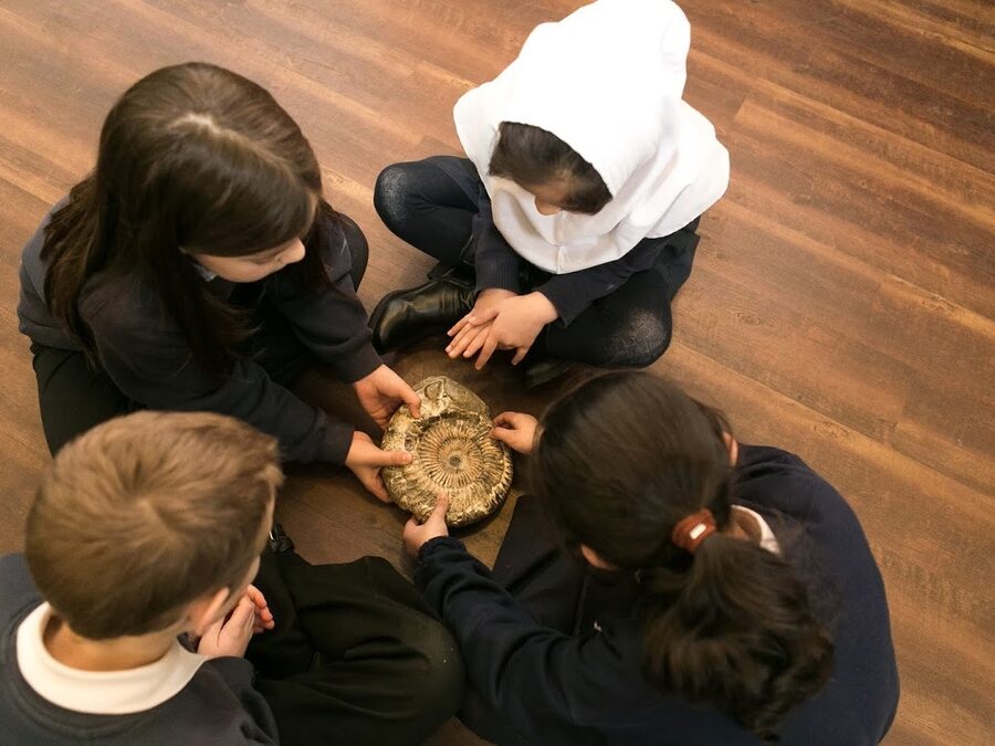 Museum Outreach: Out of the case (All key stages)